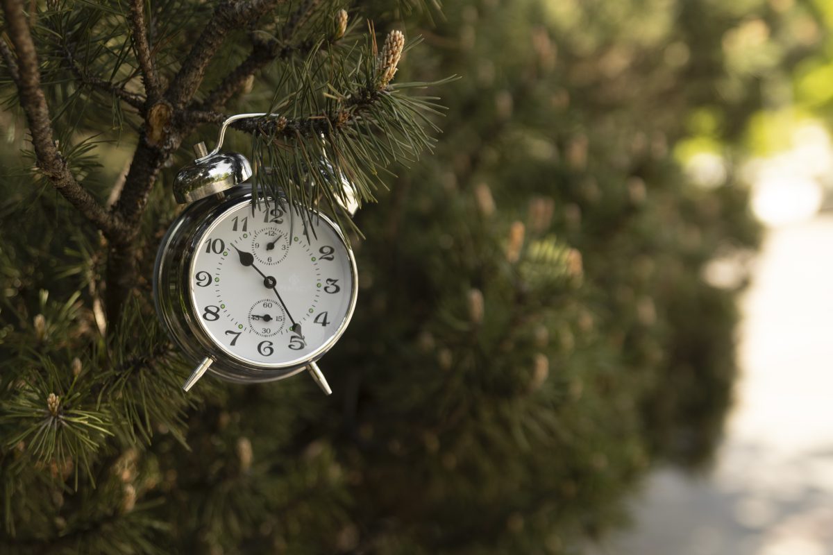 timeless travel experiences