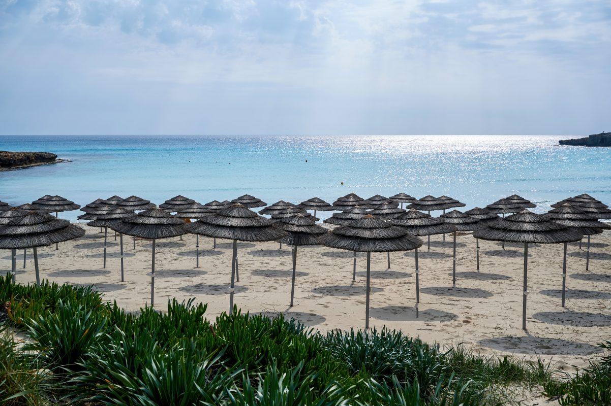 Holiday in Tenerife
